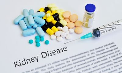kidney details